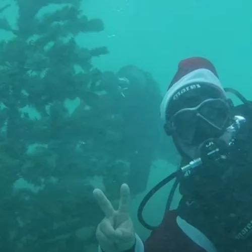 Στην Αλόννησο το χριστουγεννιάτικο δέντρο στολίζεται από δύτες στον βυθό της θάλασσας