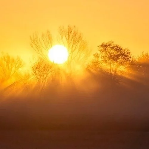 Το 2025 οδεύει να γίνει το δεύτερο θερμότερο έτος που καταγράφτηκε ποτέ