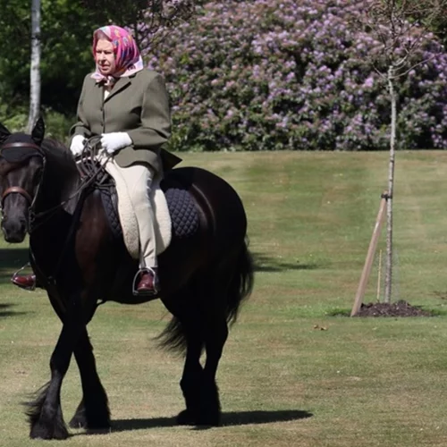 Η βασίλισσα Ελισάβετ ιππεύει ξανά, παρά τα κινητικά προβλήματα που αντιμετωπίζει