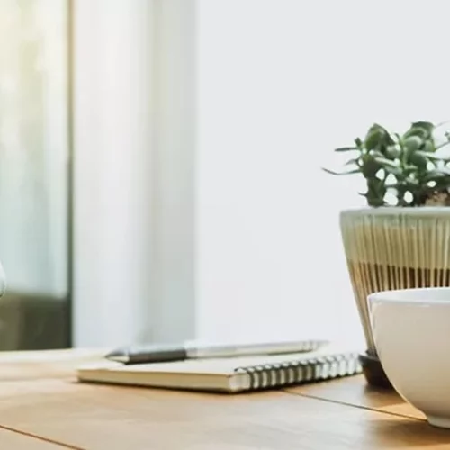 8 βότανα που βοηθούν στην απαλλαγή του οργανισμού από τις τοξίνες