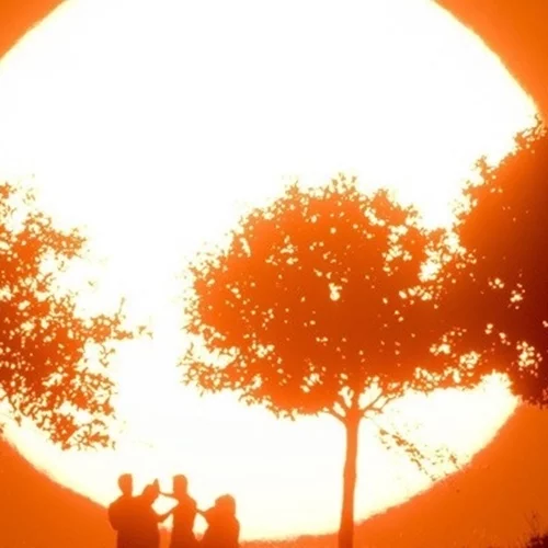 Τον Μάιο οι ασυνήθιστα υψηλές θερμοκρασίες παρέμειναν ο κανόνας σε γη και θάλασσες