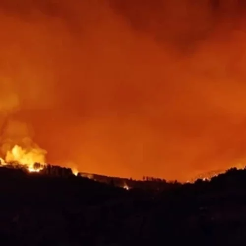 Πυρκαγιές στην Ελλάδα | 5 λογαριασμοί στο Instagram για σένα που θες να βοηθήσεις