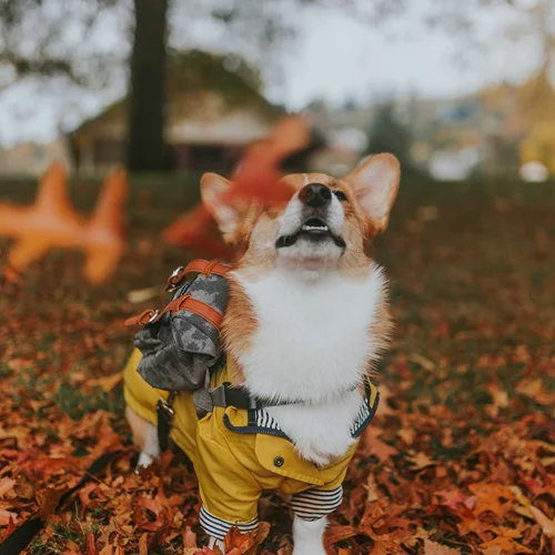 Τα ζώδια σήμερα 9/10 | Ημερήσιες προβλέψεις για κάθε ζώδιο