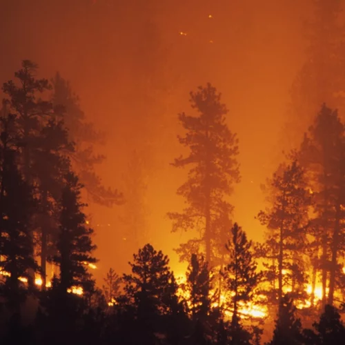 Πώς ξεκίνησε η φωτιά στην Πεντέλη |Τα στοιχεία που δείχνουν εμπρησμό - Οι δύο εστίες χωρίς πυλώνες ρεύματος κοντά