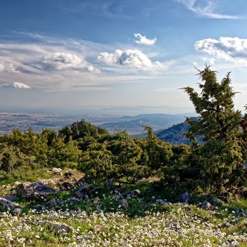 Φωτιά τώρα στην Πάρνηθα | Καίει κοντά σε σπίτια - Στη μάχη 3 canadair και ένα ελικόπτερο