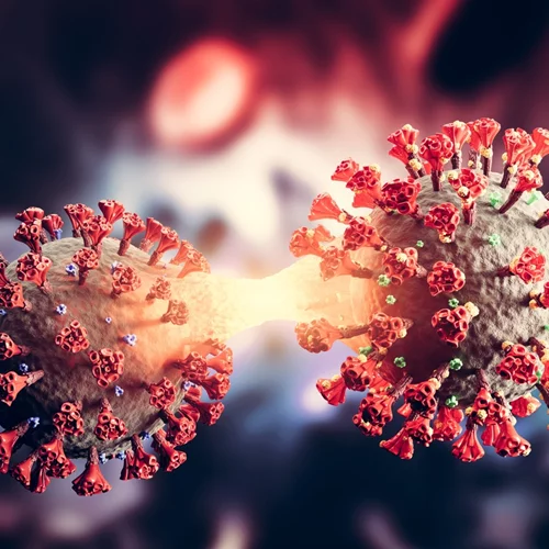 ΠΟΥ: Τέλος στην παγκόσμια υγειονομική κατάσταση έκτακτης ανάγκης για την ευλογιά των πιθήκων