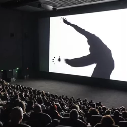 Αναζητούνται θεατές | Πώς θα γεμίσουν ξανά τα σινεμά; Η Tulip Entertainment απαντά