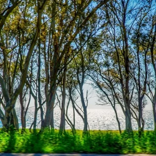 Καιρός | Υψηλές θερμοκρασίες αλλά και βροχές σήμερα - Πού θα είναι έντονα τα φαινόμενα