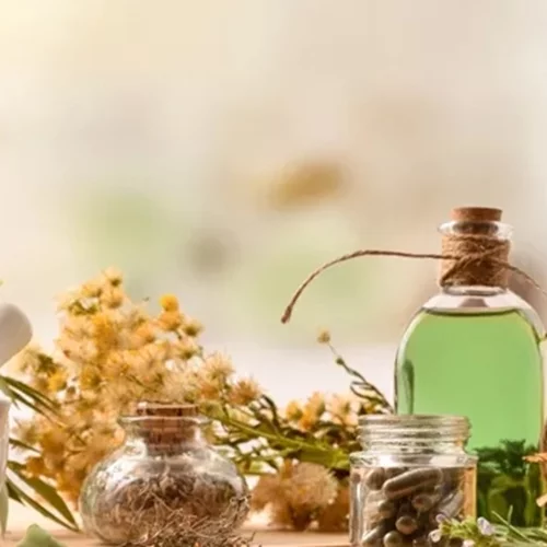 Τι είναι τα φυτικά φάρμακα; Η δράση και η ασφάλειά τους