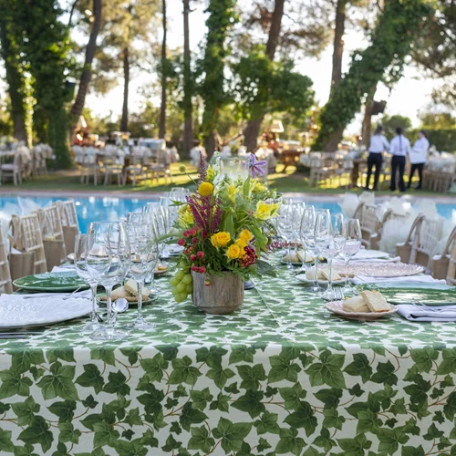 Κτήμα Κοκοτού | Διακριτική πολυτέλεια και φυσική ομορφιά, λίγα λεπτά από την Αθήνα