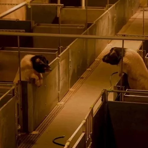 Οι must-see εκθέσεις για τον Μάιο