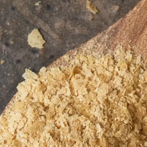 Χορτοφαγικές και vegan πηγές της Β12 - Ποια είναι η καλύτερη πηγή της αν δεν τρως κρέας;