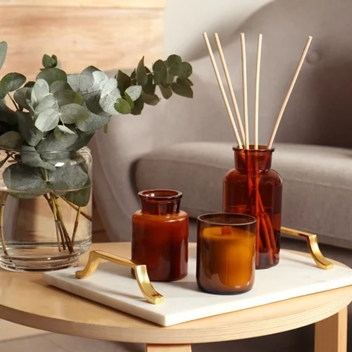 Διακόσμησε με ευκάλυπτο το σπίτι σου όπως η Εβελίνα Νικόλιζα - Τα 5 οφέλη του