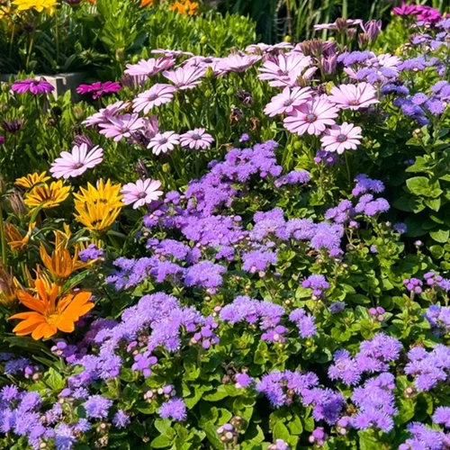 Εορτολόγιο | Ποιος γιορτάζει σήμερα Μεγάλη Δευτέρα