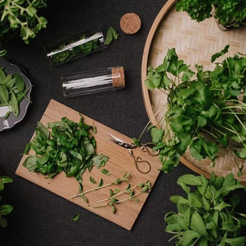 Εναλλακτικές χρήσεις των βοτάνων | Πώς θα τα χρησιμοποιήσεις διαφορετικά;