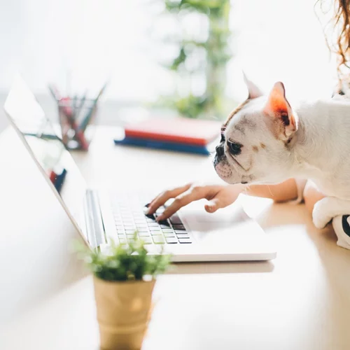 30 ιδέες για δραστηριότητες που μπορείς να κάνεις με λίγα χρήματα