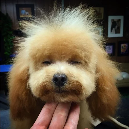 Αυτός είναι ο λογαριασμός που πρέπει να ακολουθήσεις τώρα στο Instagram