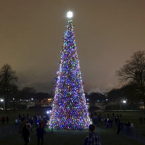 Oh Christmas Tree(s), σε όλο τον κόσμο!