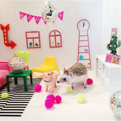 19/12: Αυτοί είναι οι Instagram λογαριασμοί που θέλουμε να ακολουθούμε τώρα