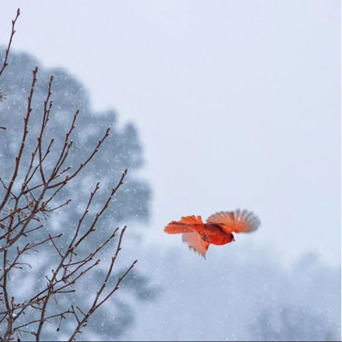 Αυτοί είναι οι Instagram λογαριασμοί που θέλουμε να ακολουθούμε τώρα