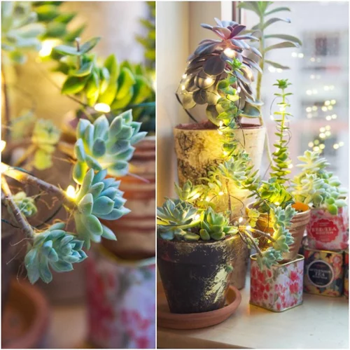 Cool Hunting: 8 τρόποι να φέρεις την Άνοιξη στην καρδιά του χειμώνα