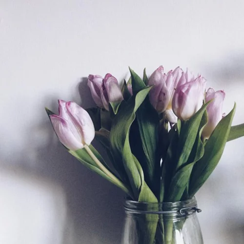 12/3: Αυτοί είναι οι λογαριασμοί που θέλουμε να ακολουθούμε τώρα