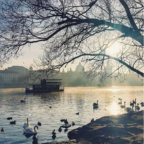 19/3: Αυτοί είναι οι Instagram λογαριασμοί που θέλουμε να ακολουθούμε τώρα