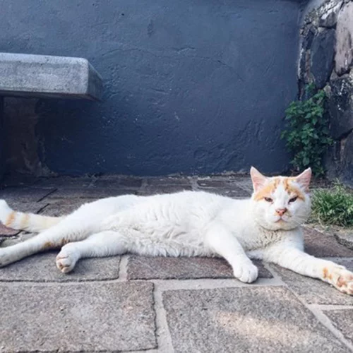 Τι σημαίνουν τα πιο δημοφιλή hashtag του Instagram