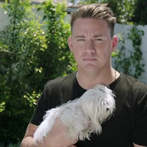 Channing Tatum: Ανακοινώνει το live show του με κουτάβια και άντρες μοντέλα (βίντεο)
