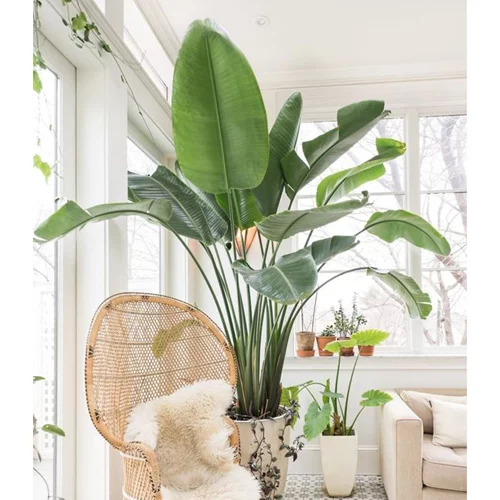 Summer Serenity: 15 ιδέες για ένα απόλυτα χαλαρωτικό σπίτι!