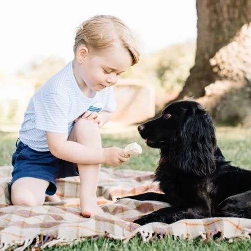 Αυτό το γενέθλιο πορτραίτο του πρίγκιπα George ξεσήκωσε αντιδράσεις