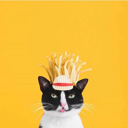 23/7: Αυτοί είναι οι Instagram λογαριασμοί που θέλουμε να ακολουθούμε τώρα