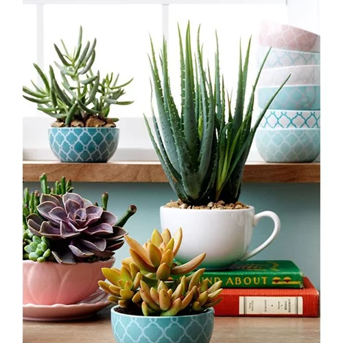 25 ιδέες για να αναβαθμίσεις τις γλάστρες στο μπαλκόνι και τον κήπο σου