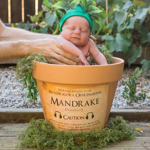 Ζευγάρι φωτογράφησε το νεογέννητο μωρό τους σε σκηνικό Harry Potter