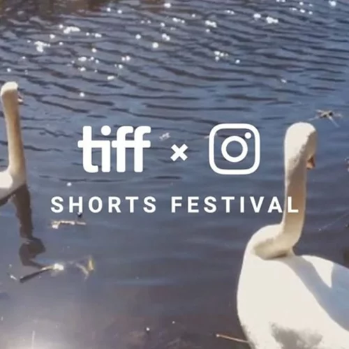 TIFFxInstagram Shorts Festival: Το Instagram δίνει βήμα στους filmmakers