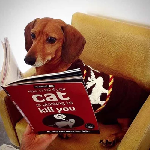 20/8: Αυτοί είναι οι Instagram λογαριασμοί που θέλουμε να ακολουθούμε τώρα