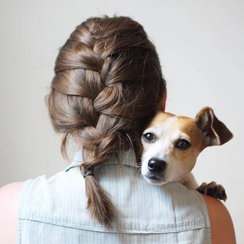 Τη μετατροπή του αδικήματος του βασανισμού ζώων σε κακούργημα αποφάσισε ο Μ. Βορίδης