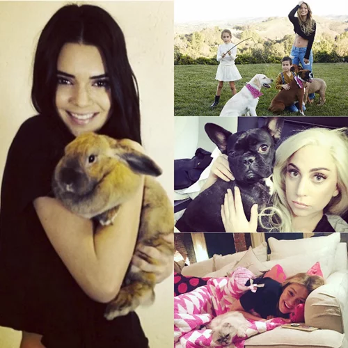 Παγκόσμια Ημέρα Ζώων: Οι πιο γλυκιές στιγμές των celebs με τα κατοικίδιά τους