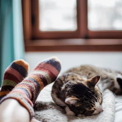 To φθινόπωρο ήρθε και επίσημα! 20 πράγματα που αποδεικνύουν ότι είναι η πιο cosy εποχή