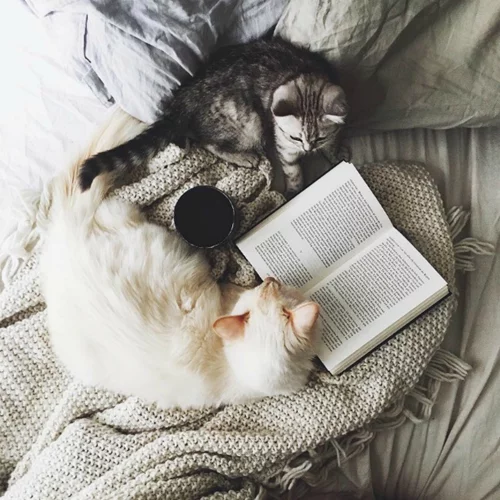 15/10: Αυτοί είναι οι Instagram λογαριασμοί που θέλουμε να ακολουθούμε τώρα