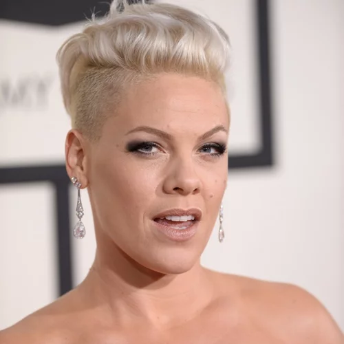 Pink: Έγκυος για δεύτερη φορά!