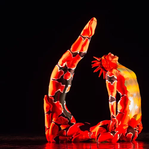 Opus Cactus: Η πιο μαγική χορευτική παράσταση έρχεται στην Ελλάδα