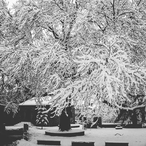 Φωτογραφίες από την «κάτασπρη» χριστουγεννιάτικη Αθήνα