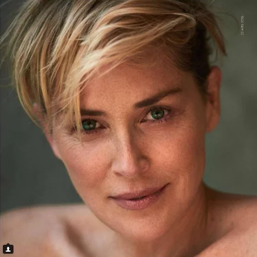 Η Sharon Stone με το νέο της κούρεμα γύρισε τον χρόνο τρεις δεκαετίες πίσω
