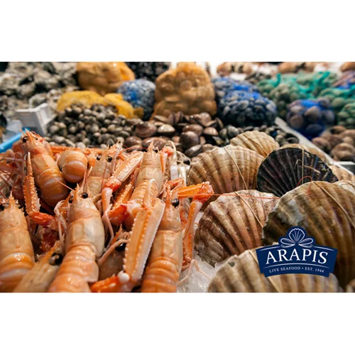 Κέρδισε τα θαλασσινά για το τραπέζι της Σαρακοστής! (αποτελέσματα)