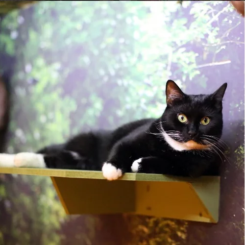 Fooding around: 5 θεματικά μέρη για να επισκεφτείς στο επόμενο ταξίδι σου