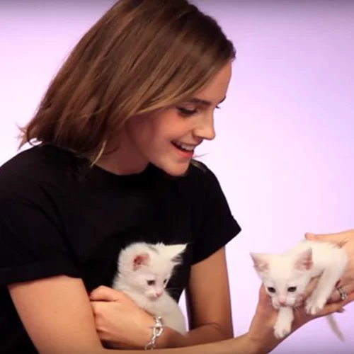 Emma Watson: Απαντάει σε ερωτήσεις θαυμαστών παρέα με γατάκια (βίντεο)
