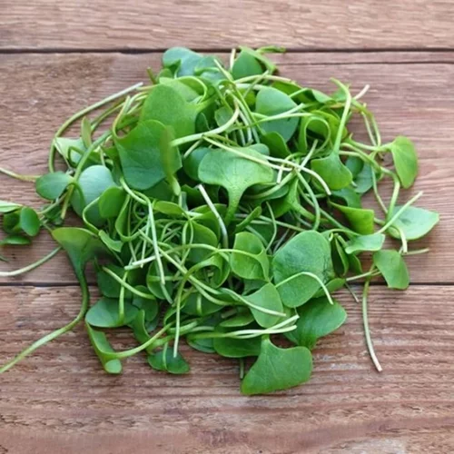 Νεροκάρδαμο για υγιή μαλλιά; Δες και τις 10 τροφές για δυνατά, μακριά μαλλιά!