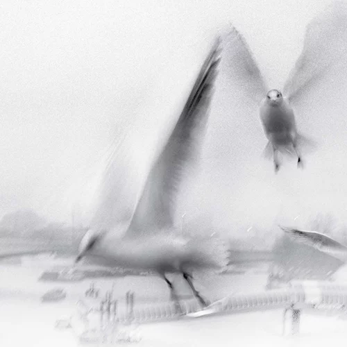 Γνώρισε τη ζωή και το έργο του Μπέκετ μέσα από μία υπέροχη θεατρική παράσταση