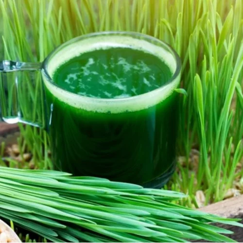 Χυμός από σιταρόχορτο: Η ισχυρότερη αποτοξινωτική τροφή γεμάτη πρωτεΐνη και δεν το δοκίμασες ΑΚΟΜΑ;